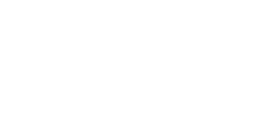 Ng2Shelter logo part svg